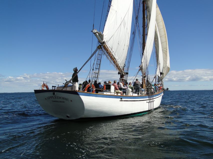 Penobscot Bay: Historic Schooner Day Sailing Trip - Meeting Location