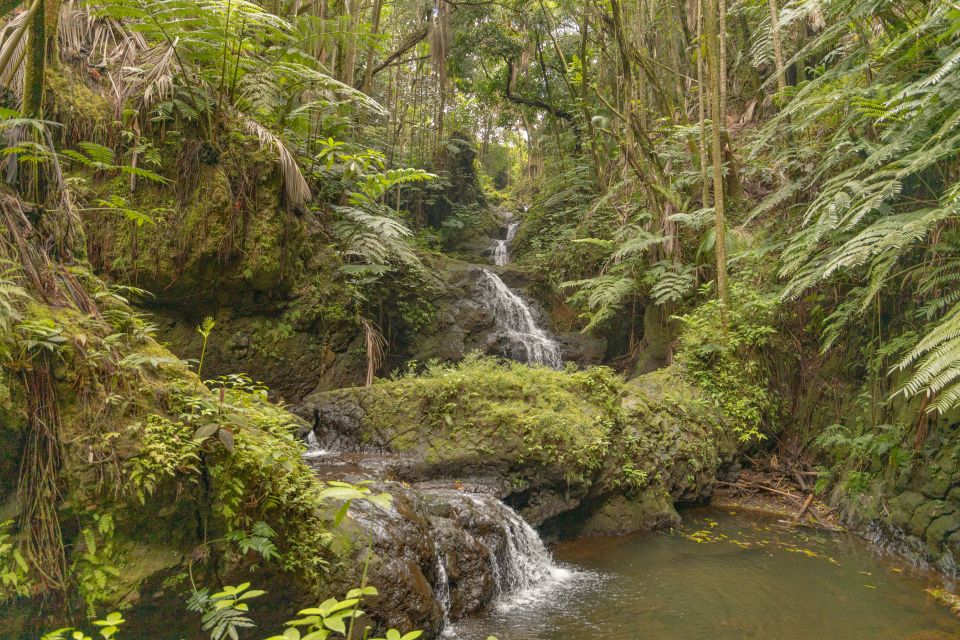 Private - All Inclusive Big Island Waterfalls Tour - Inclusions and Amenities