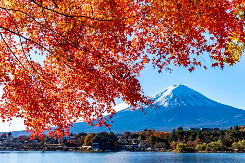 Private Day Tour to Mount Fuji Hakone With English Driver - Included Services