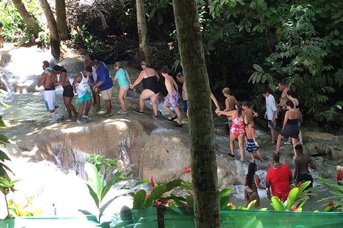 Private Dunns River Fall, Blue Hole in Ocho Rios From Montego Bay - Positive Guest Reviews