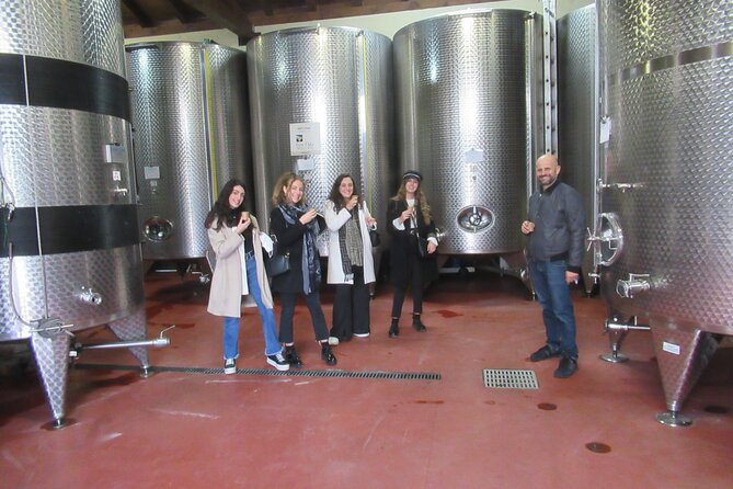 Private Emilian Food and Wine Tasting Tour in Modena - Personalization Options