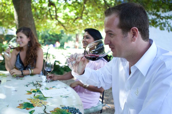 Private Full-Day Stellenbosch Wine Tour - Lunch and Refreshments