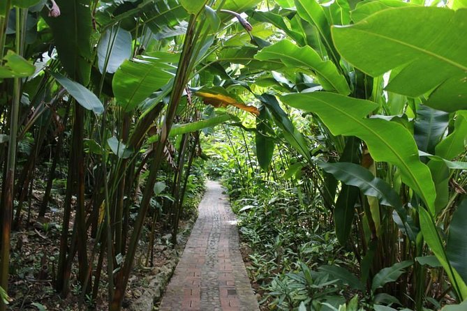 Private Glorious Gardens of Barbados - Andromeda Botanical Gardens