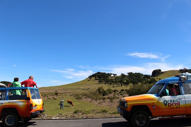 Private Small Group Full Day 4x4 Tour in Northwest Madeira - Customer Reviews