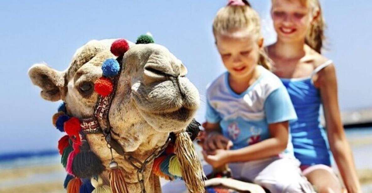 Private Tangier Tour With Lunch and Camel Ride - Guide and Language