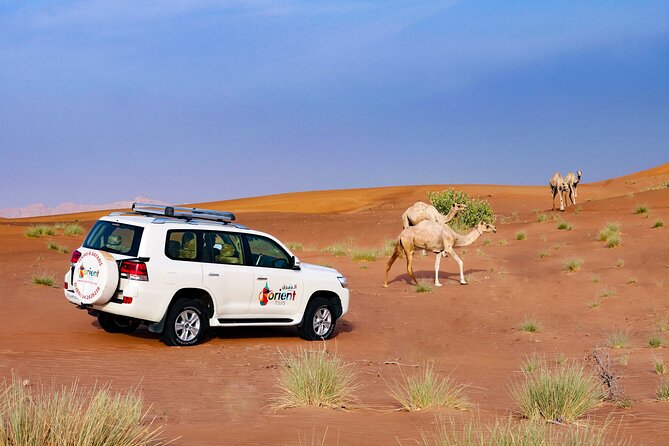 Private Tour : Dubai Desert 4x4 Safari With Camp Activities & BBQ Dinner - Sandboarding, Camel Riding, and ATV Rides