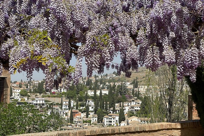 Private Tour of the Alhambra in Granada (Ticket Included) - Group Size Pricing