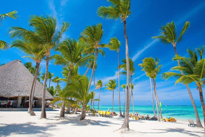 Private Transfer: Punta Cana Airport PUJ to Punta Cana or Bavaro in Van - Tour/Activity Details