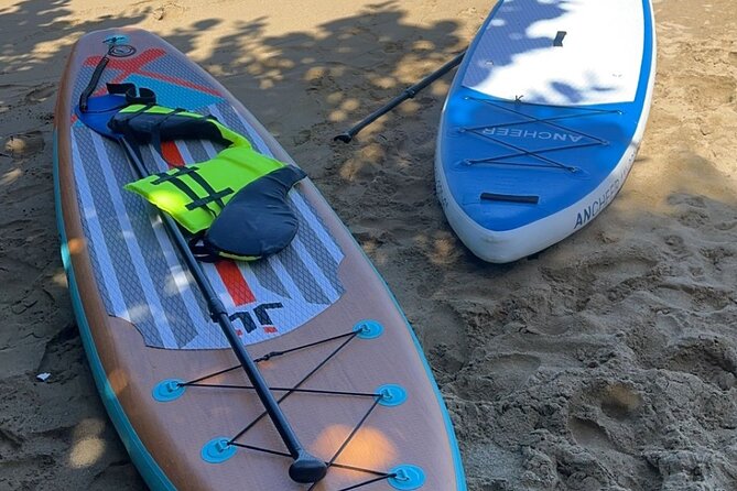 Puerto Plata Cabarete Inflatable Paddle Board/ Kayak Rental - Booking Confirmation Process