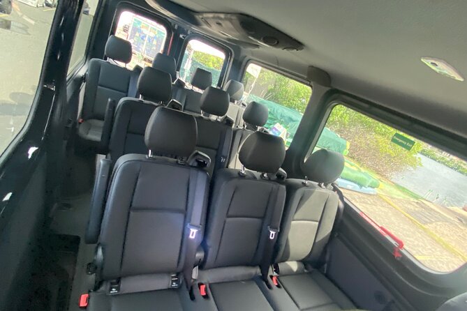 Puerto Rico Island Wide Private Transfers, 11Pax Lux Sprinter Van - Accessibility and Pet Policy