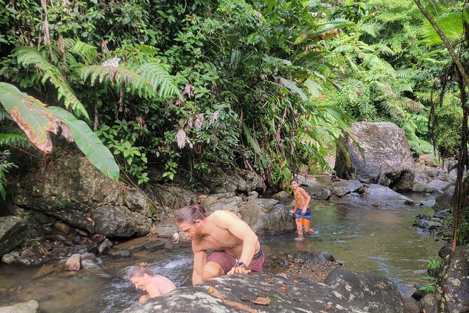 Rain Forest Waterfall Discovery With Natural Mud Bath - Additional Info