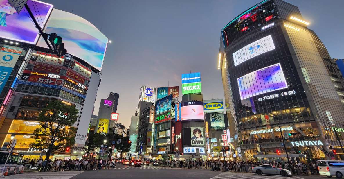 Real Tokyo in One Day With a Local - Skyline Views