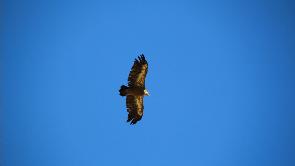 Rethymno Land Rover Safari in Southwest Crete - Scenic Views