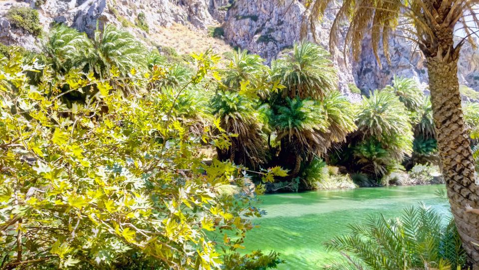 Rethymno Old Town - Preveli Beach - Kourtaliotiko Gorge - Cultural Insights