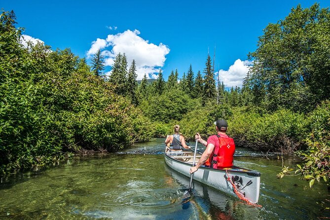 River of Golden Dreams Canoe Tour in Whistler - Safety and Accessibility