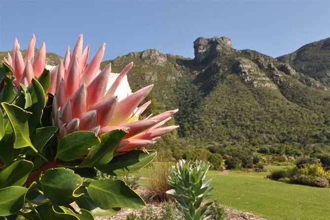 Robben Island ,Kirstenbosch Gardens and Groot Constantia. - Cancellation Policy