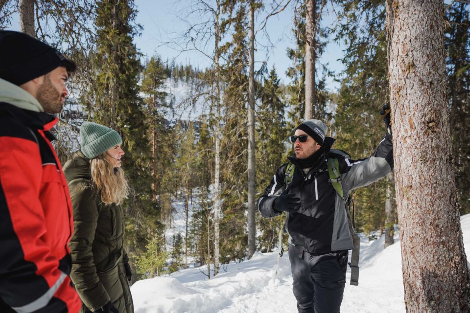 Rovaniemi: Frozen Waterfalls of Korouoma Canyon Hike - Meeting Point Options