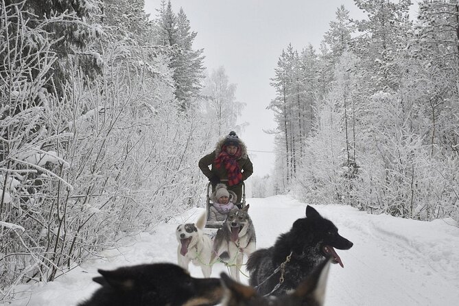 Rovaniemi: Husky Safari Tour & 6-10 Km Self-Driving Mushing - Customer Testimonials