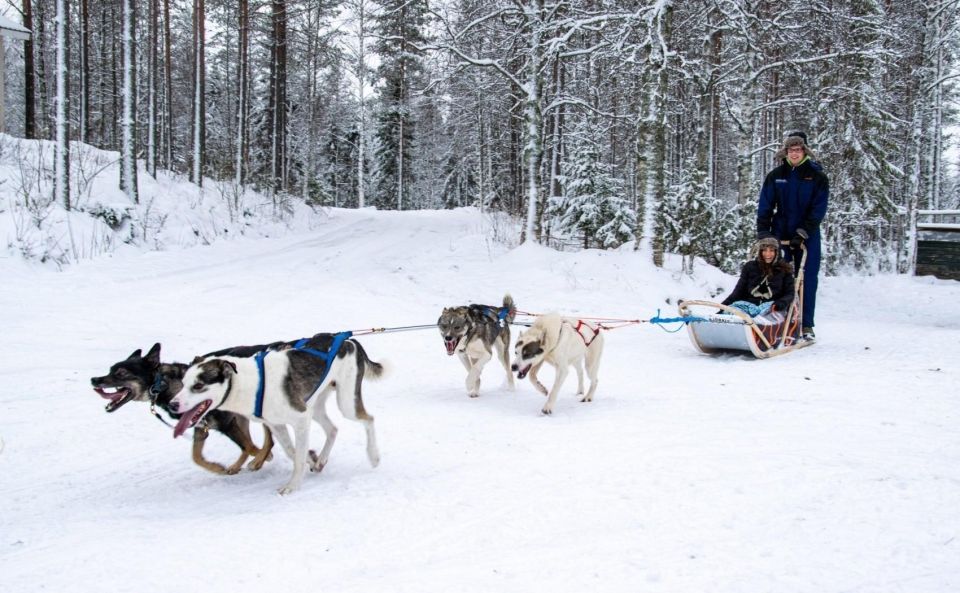 Rovaniemi: Husky Safari Tour & 6-10 Km Self-Driving Mushing - Capturing Stunning Photographs