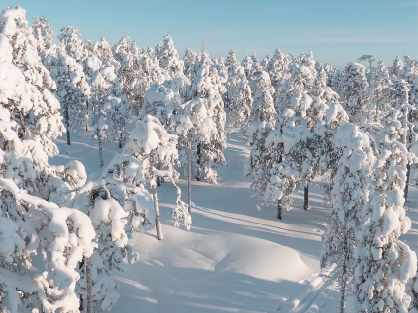 Rovaniemi: Winter Wonderland Vikaköngas Hike & Barbecue - Booking and Cancellation Policy