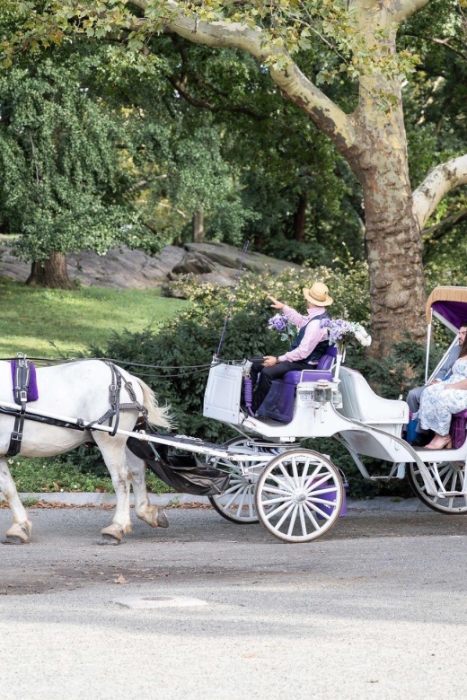 Royal Carriage Ride in Central Park NYC - Meeting Point Location