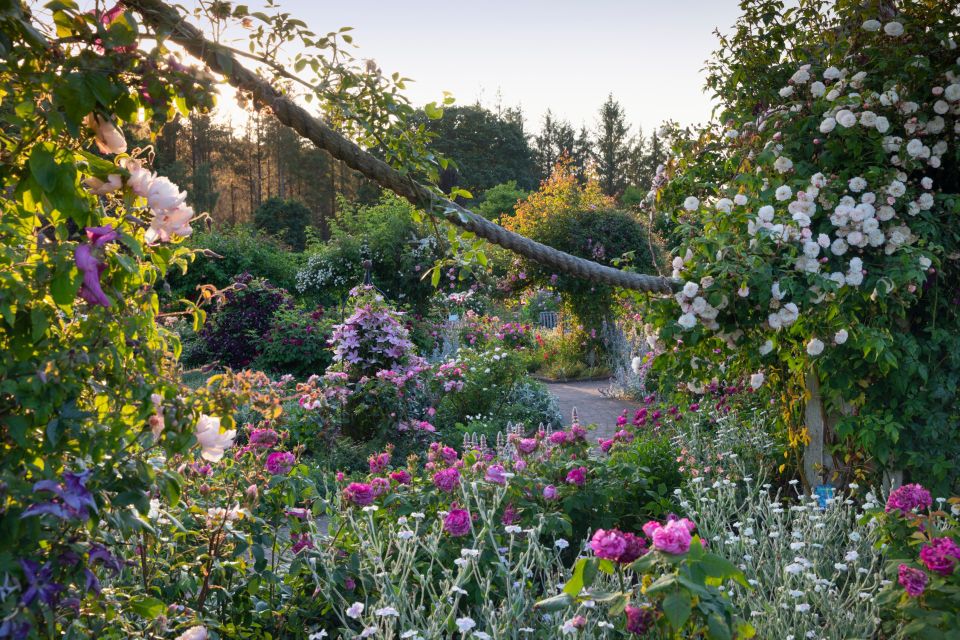 Royal Horticultural Society: Rosemoor Garden Ticket - Hot Garden