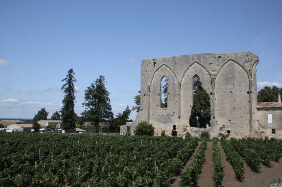 Saint-Émilion: Private Walking Tour & Magnificent Views - Exploring the Historic City