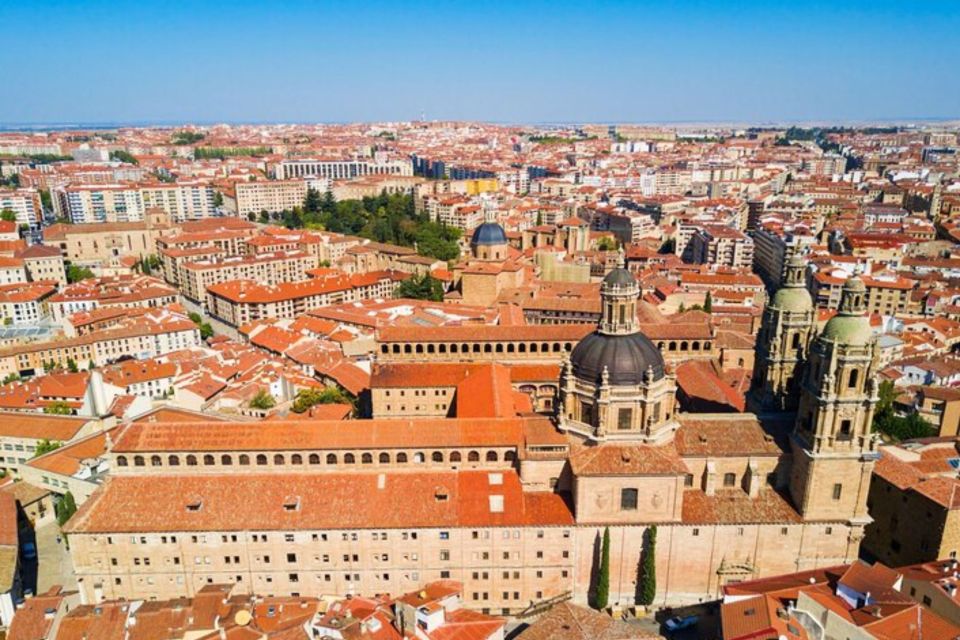 Salamanca: Private Walking Tour With a Local Guide - Customizable Options