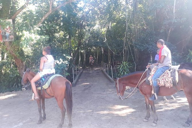 Samana- Raised Key - Lemon Waterfall - Horseback Riding - Horseback Riding