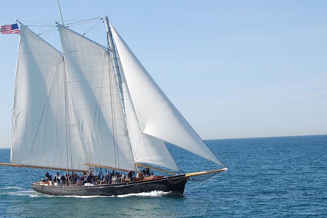 San Diego Whale Watching Cruise - Onboard Snacks and Picnic Lunches