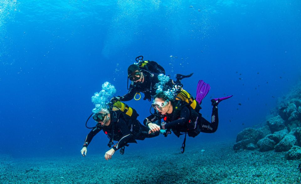 Santa Cruz De Tenerife: Introductory Diving Course & 2 Dives - Exploration and Sightseeing Opportunities