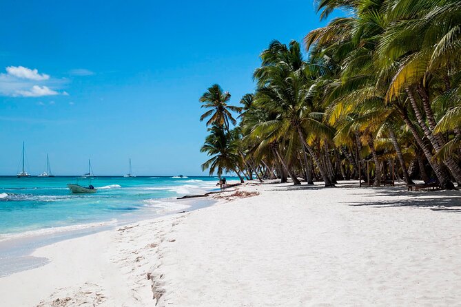 Saona Island Full Day: Natural Pool & Catamaran Cruise With Lunch - Towels Provided for Participants