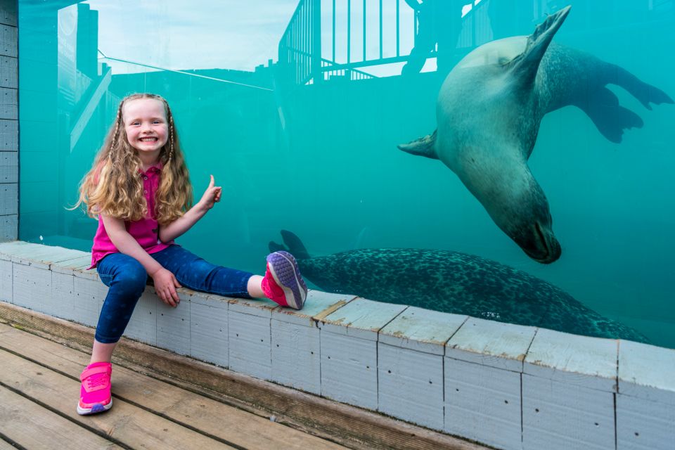 Sea Life Hunstanton - Diverse Marine Creature Collection