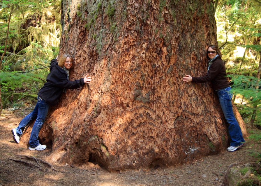 Seattle: Olympic National Park Small-Group Tour - Wildlife Spotting Opportunities