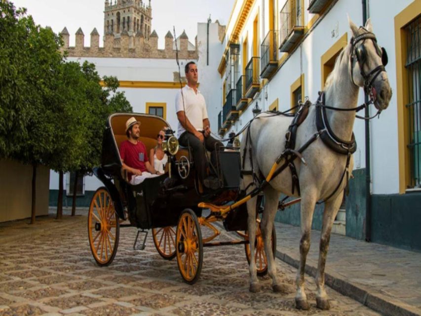 Seville: Horse Carriage Tour With Fine Dine Meal - Experience Highlights