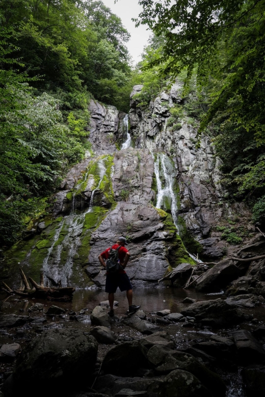 Shenandoah National Park: Private Day Tour - Guided Experience