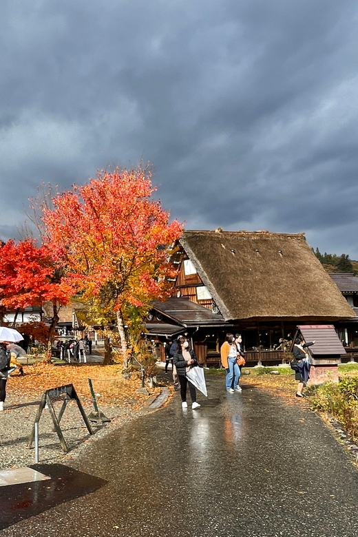 Shirakawa-go Half Day Tour Review - Guided Tour Features