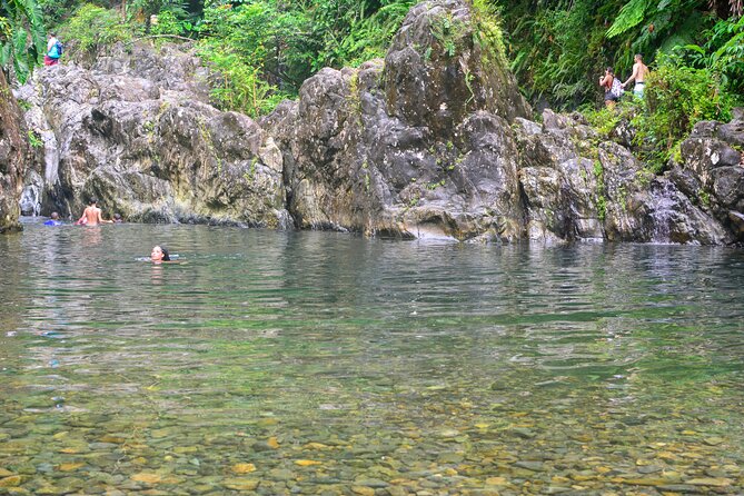 Small-Group El Yunque Rainforest Vivid Day Tour With Transport - Hiking and Natural Pools