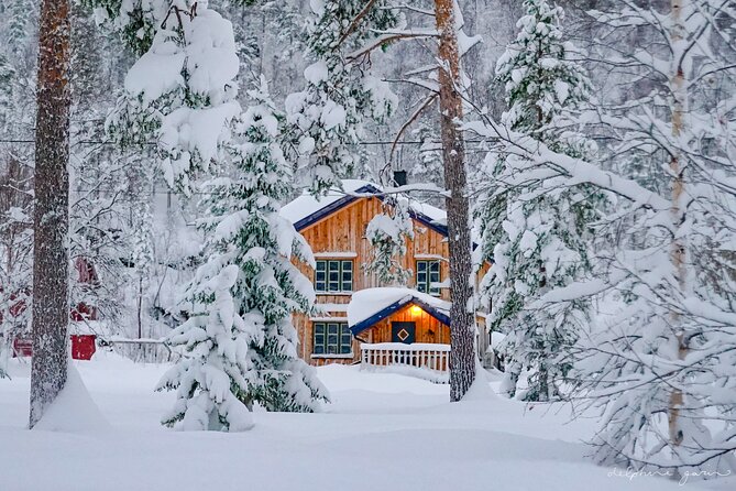 Small-Group Wilderness Husky Sledding 2h Away From Tromsø - Picnic Lunch and Warm Drinks