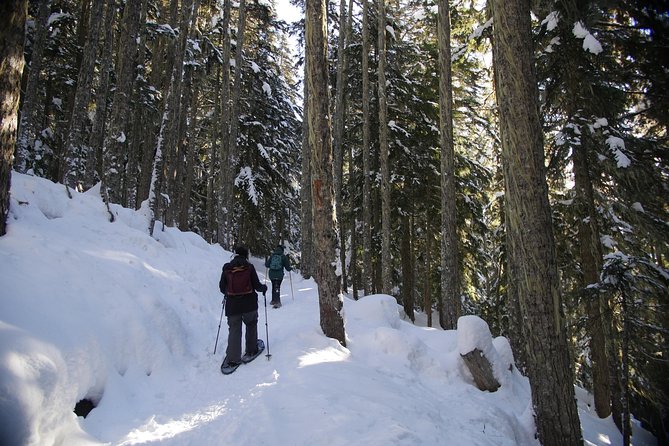 Snowshoe Tours - Cancellation Policy