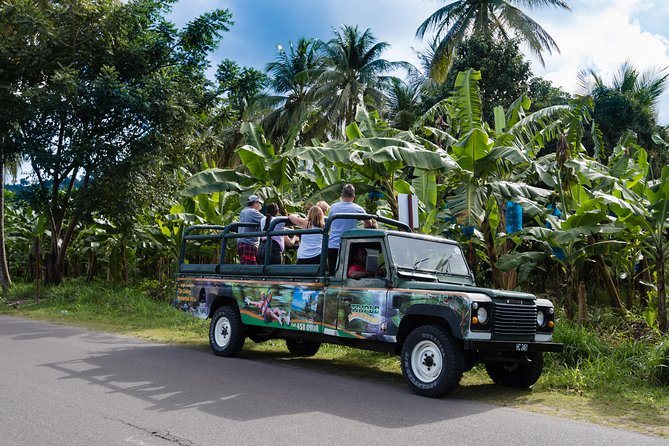 Soufriere Full-Day Land and Sea Combo Tour - Swim and Snorkel