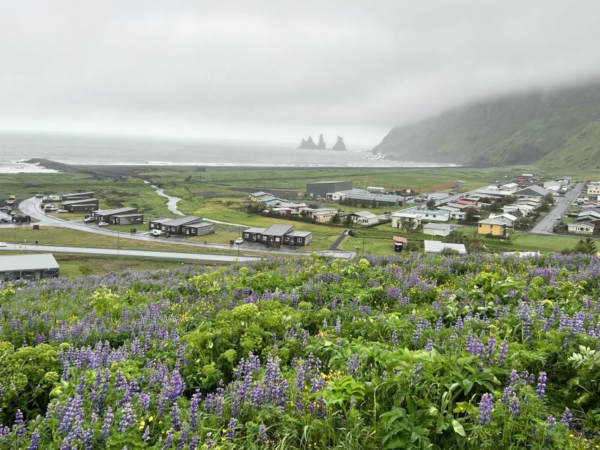 South Coast With Dyrholey Peninsula Private Tour - Skógafoss Waterfall