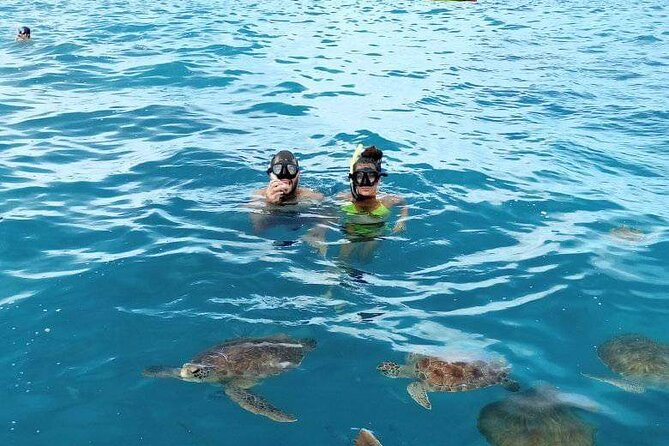 Spectacular Experience With Sea Turtles - Customer Feedback