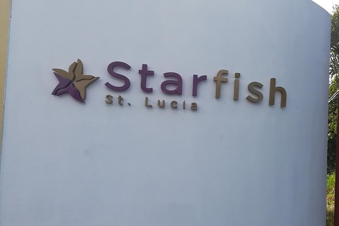 St Lucia Airport Transfer to Starfish St Lucia - Local Sights and Commentary