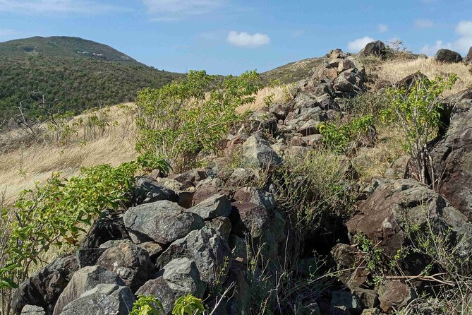 St.Martin - St. Maarten: Small Group, Coastal Hike & Swim Tour - Fitness Level and Group Size