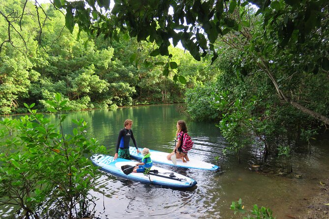 Stand Up Paddle Adventure in Guadeloupe - Preparing for the Adventure