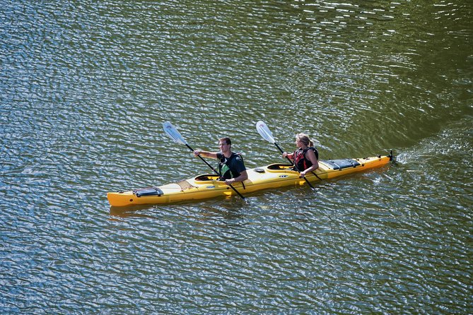 Stockholm City Evening Kayak Tour - Additional Information