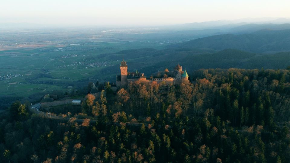 Strasbourg, Colmar, Eguisheim, Riquewihr: Private Excursion - Riquewihr: Indulging in Alsace