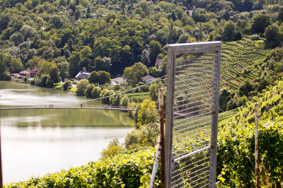 Stuttgart Nature Experience Day - Meeting Point and Duration