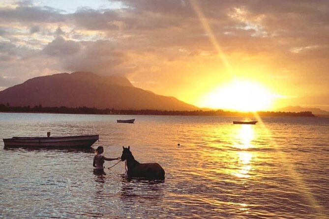 Sunset Beach Horseback Riding - Scenic Views